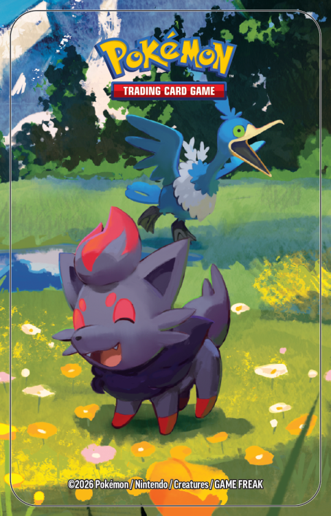 Pokemon-2,5-Mini-Tins-Sticker-5-Zorua.png